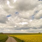 RAPSFELD AUF DER ALB