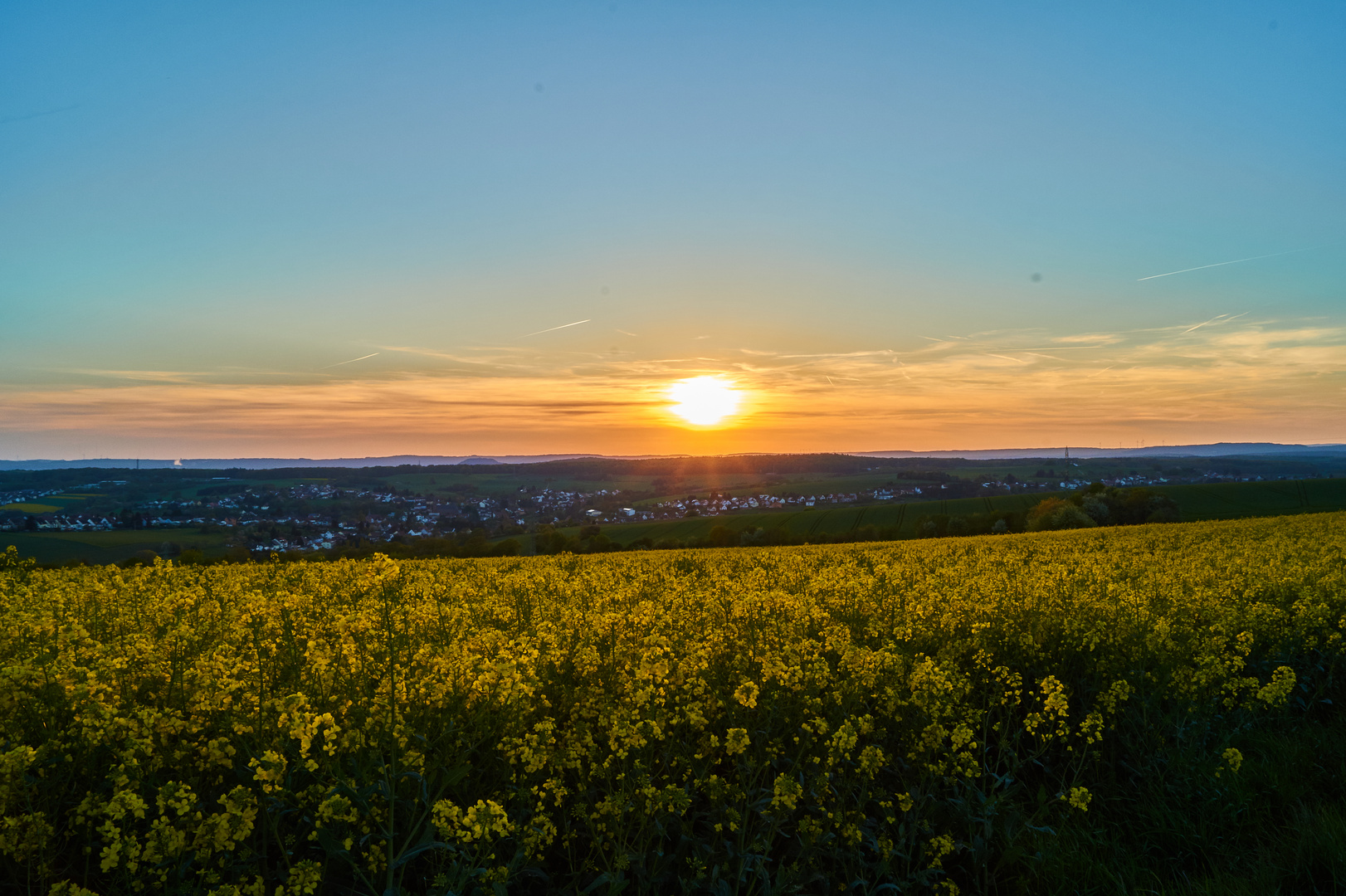 Rapsfeld bei Sonnenuntergang