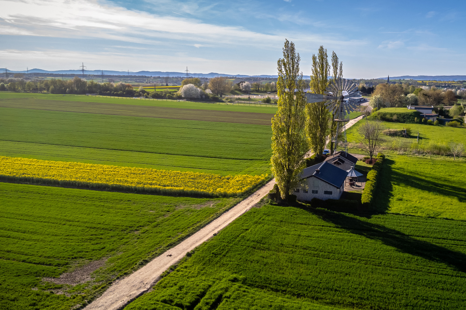 Rapsfeld beim Metternicher Windrad