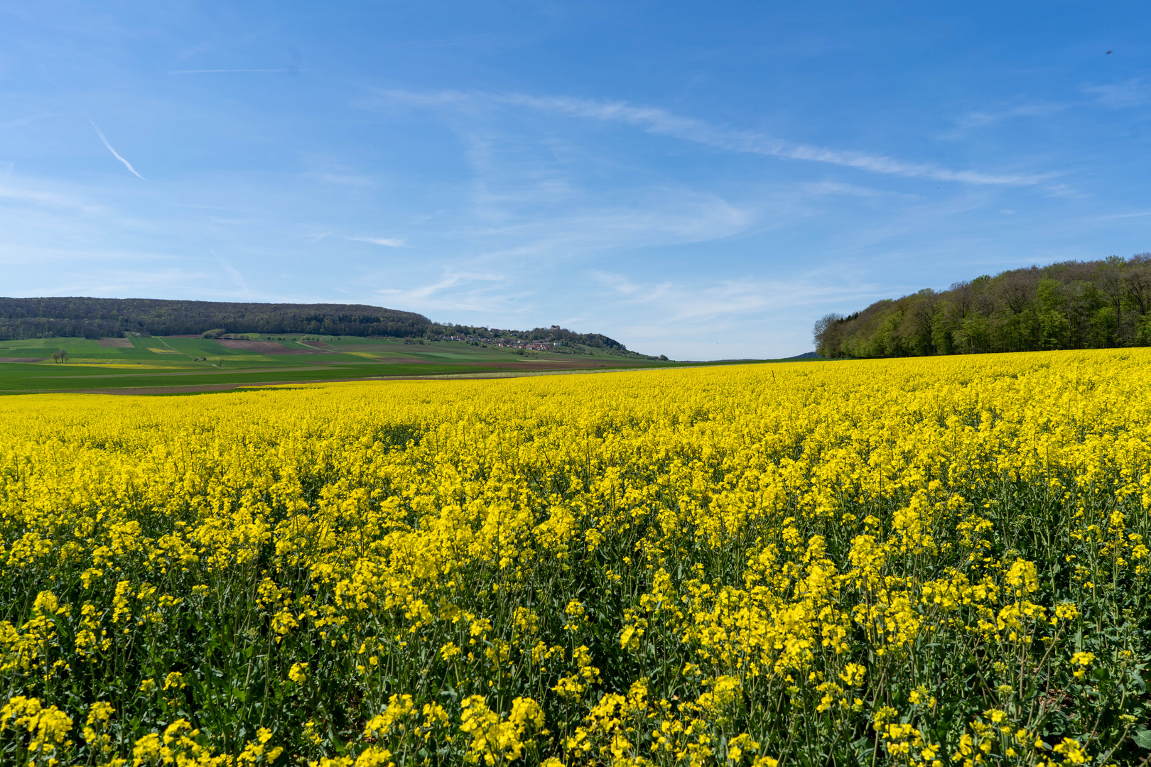 Rapsfeld blick Spielberg