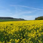 Rapsfeld blick Spielberg