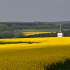 Rapsfeld im Hunsrück