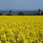 Rapsfeld in Mainfranken im Hintergrund der Steigerwald