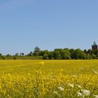 Rapsfeld mit Blick auf den Leuchtturm Kap Arkona, Rügen