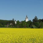 Rapsfeld mit Burg im Hintergrund