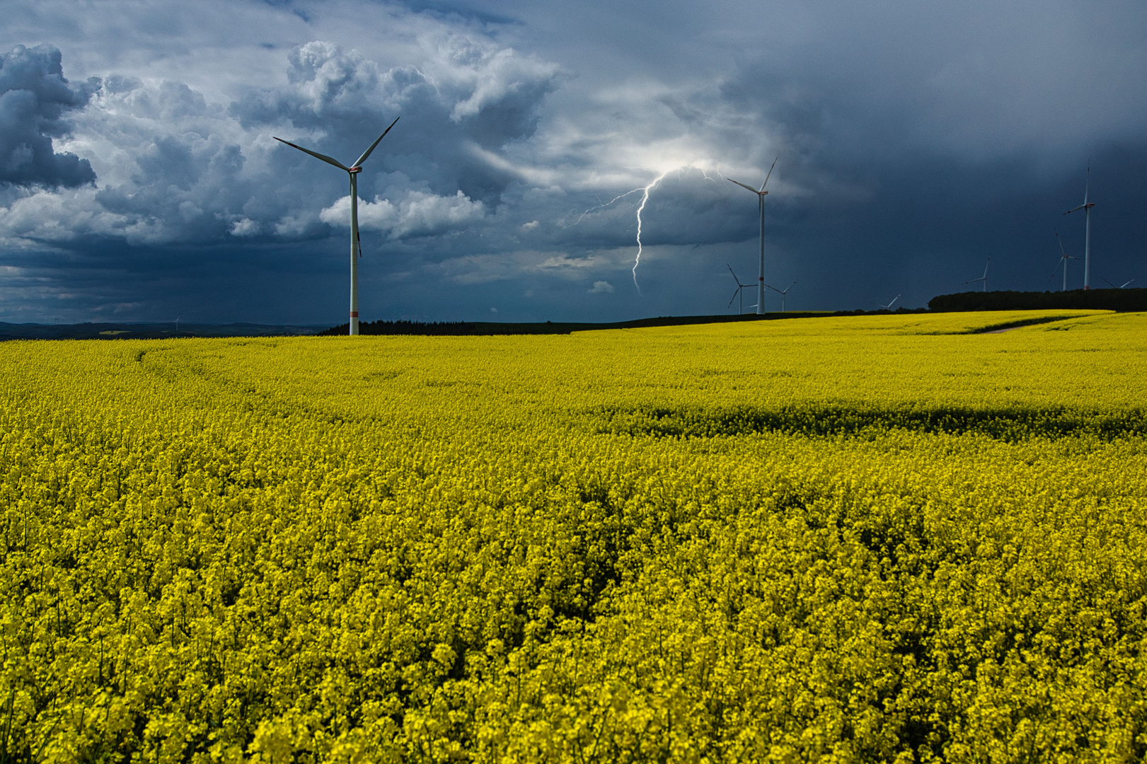 Rapsfeld mit Doppelter Energie