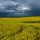 Rapsfeld mit Doppelter Energie