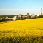 Rapsfeld mit Fabrik