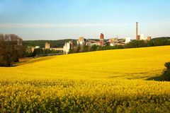 Rapsfeld mit Fabrik