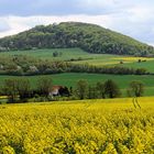 Rapsfeld mit Heiligenberg