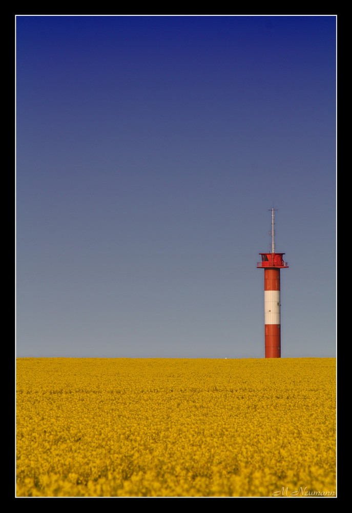 Rapsfeld mit Leuchtturm