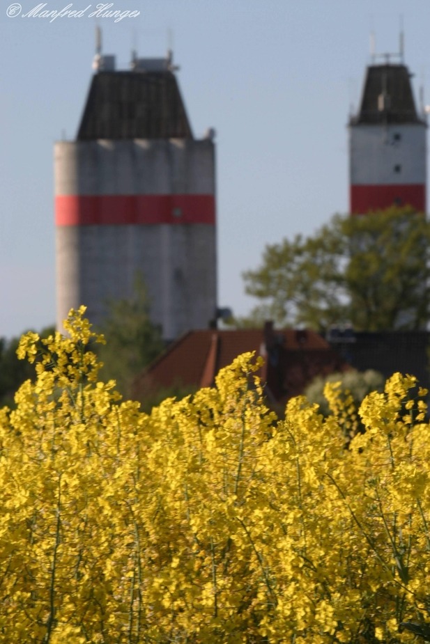 Rapsfeld mit Silo