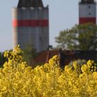 Rapsfeld mit Silo