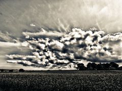 rapsfeld mit wolken ..