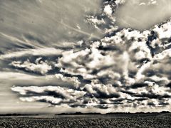 rapsfeld mit wolken .