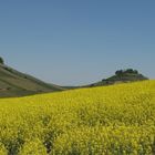 Rapsfeld und die Burgruine Weibertreu