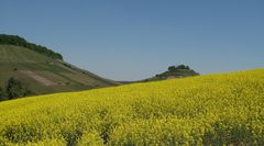 Rapsfeld und die Burgruine Weibertreu