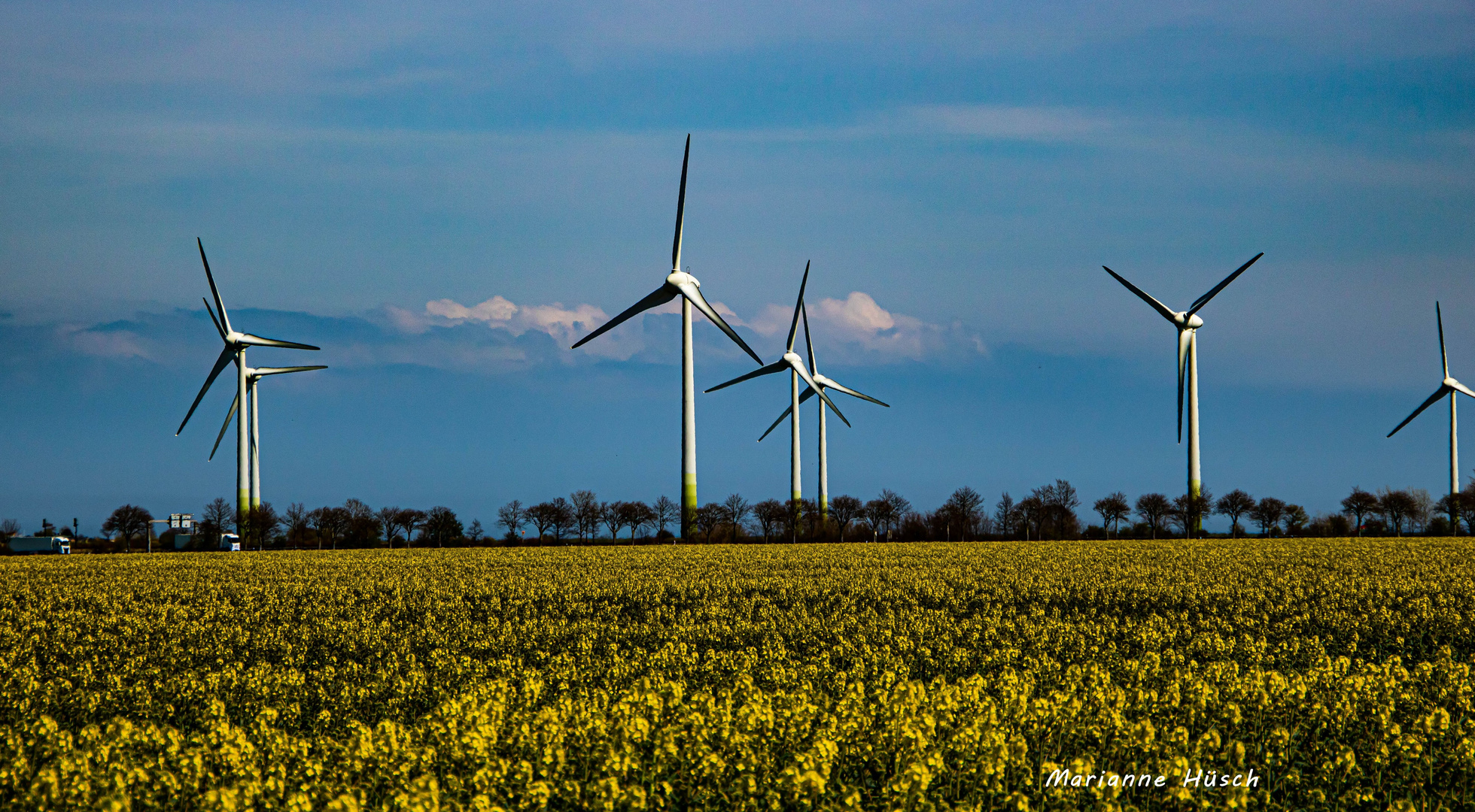 Rapsfeld und Windräder