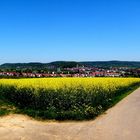 Rapsfeld= Verschiedene Wege führen nach Herrenberg  (Rom)