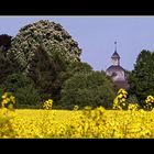 Rapsfeld vor dem Rittergut ...