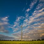 Rapsfeld zum Sonnenuntergang