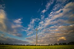 Rapsfeld zum Sonnenuntergang