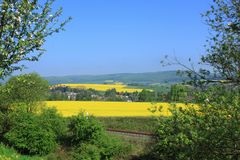 -Rapsfelder an der Bahnstrecke-