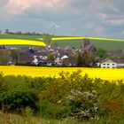 Rapsfelder, Eifel bei Mayen