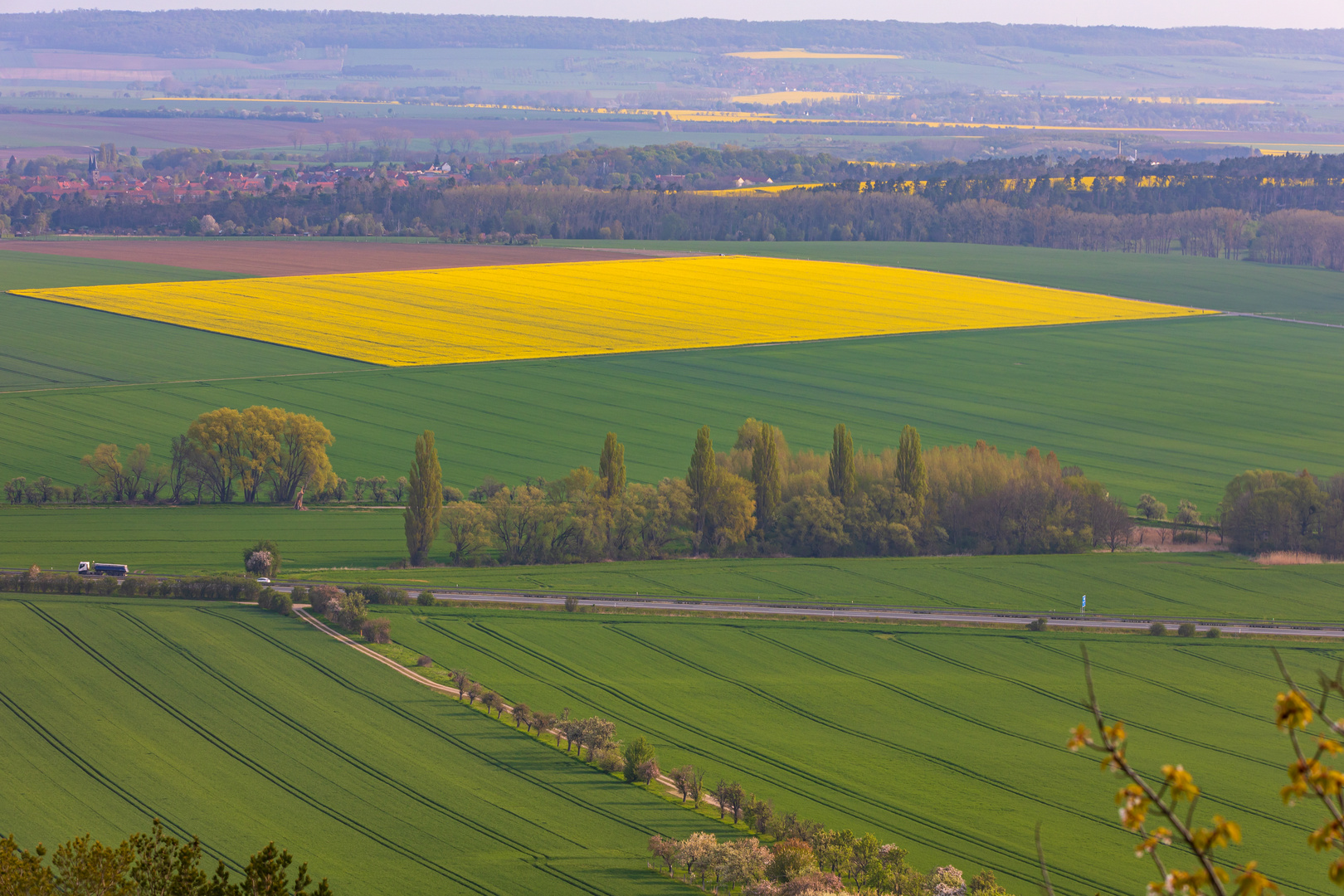 Rapsfelder entlang der A36 Foto & Bild landschaft, Äcker, felder & wiesen, fotos Bilder auf