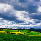 Rapsfelder im Schwarzwald 