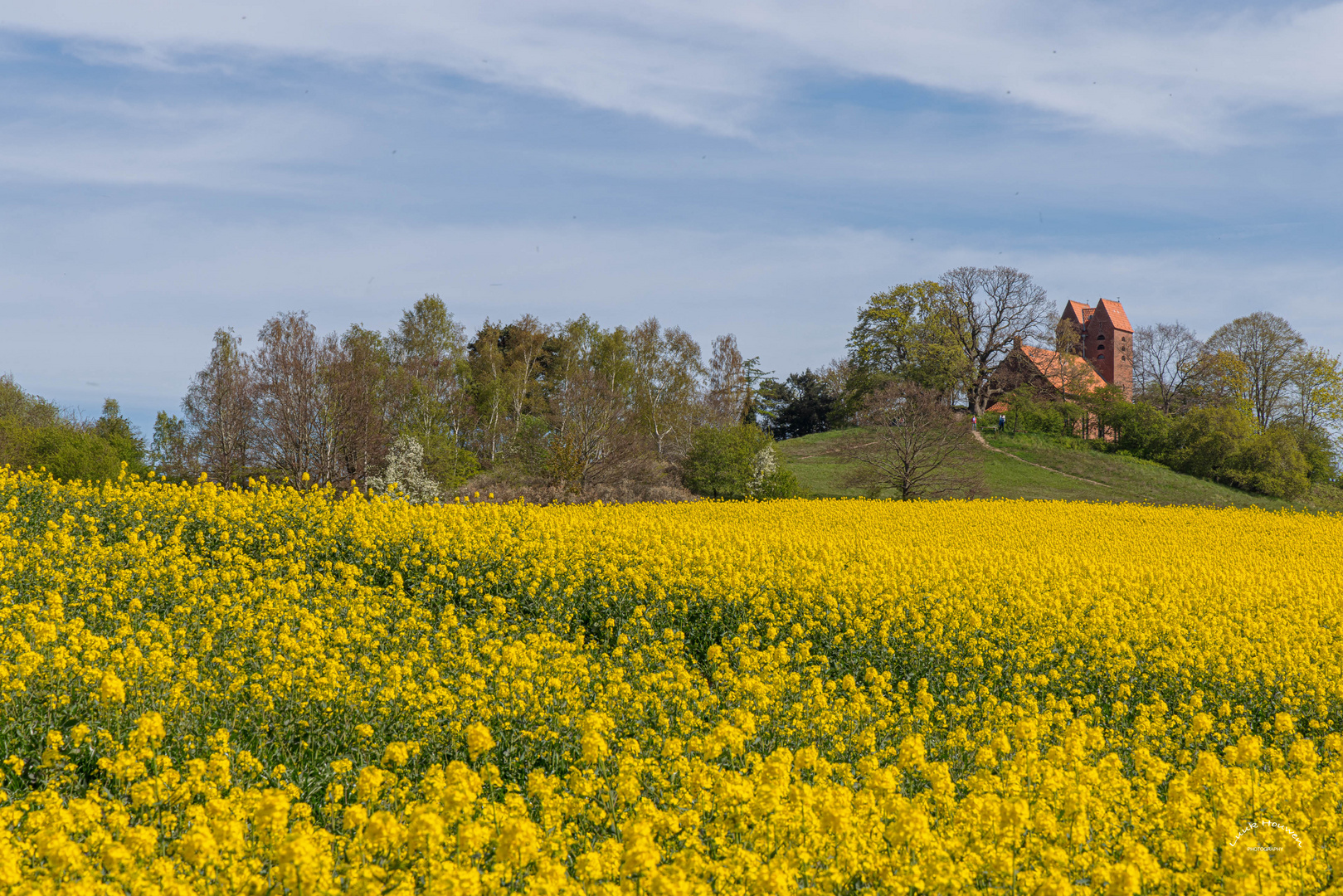 Rapsfelder mit Kirche / Rapeseed fields with church