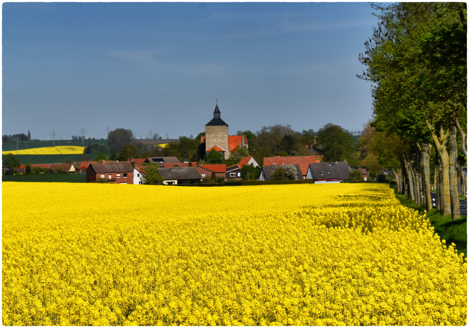 Rapsfelder um Watzum