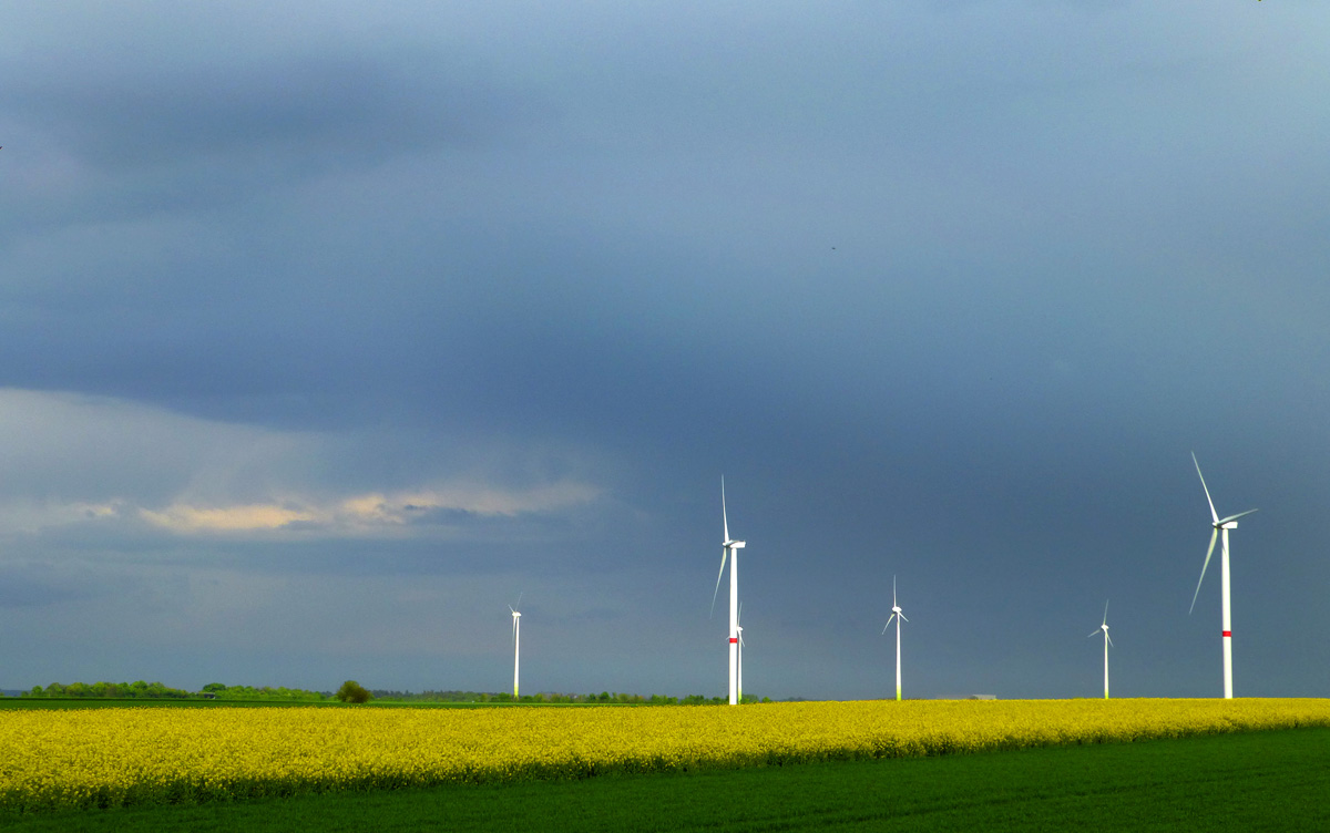 Rapsfelder und Windräder kurz vor dem Regen