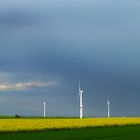 Rapsfelder und Windräder kurz vor dem Regen