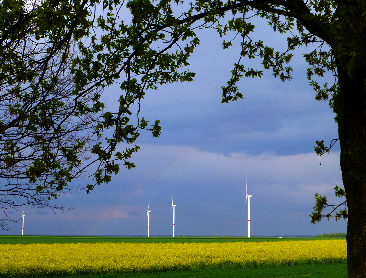 Rapsfelder und Windräder mit Rahmen