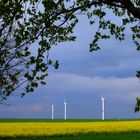 Rapsfelder und Windräder mit Rahmen