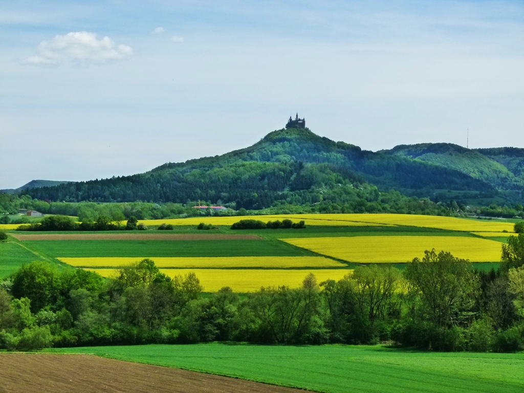 Rapsfelder vor der Burg Hohenzollern