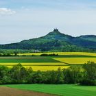 Rapsfelder vor der Burg Hohenzollern