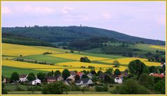 -Rapsfeld...Schachbrett-