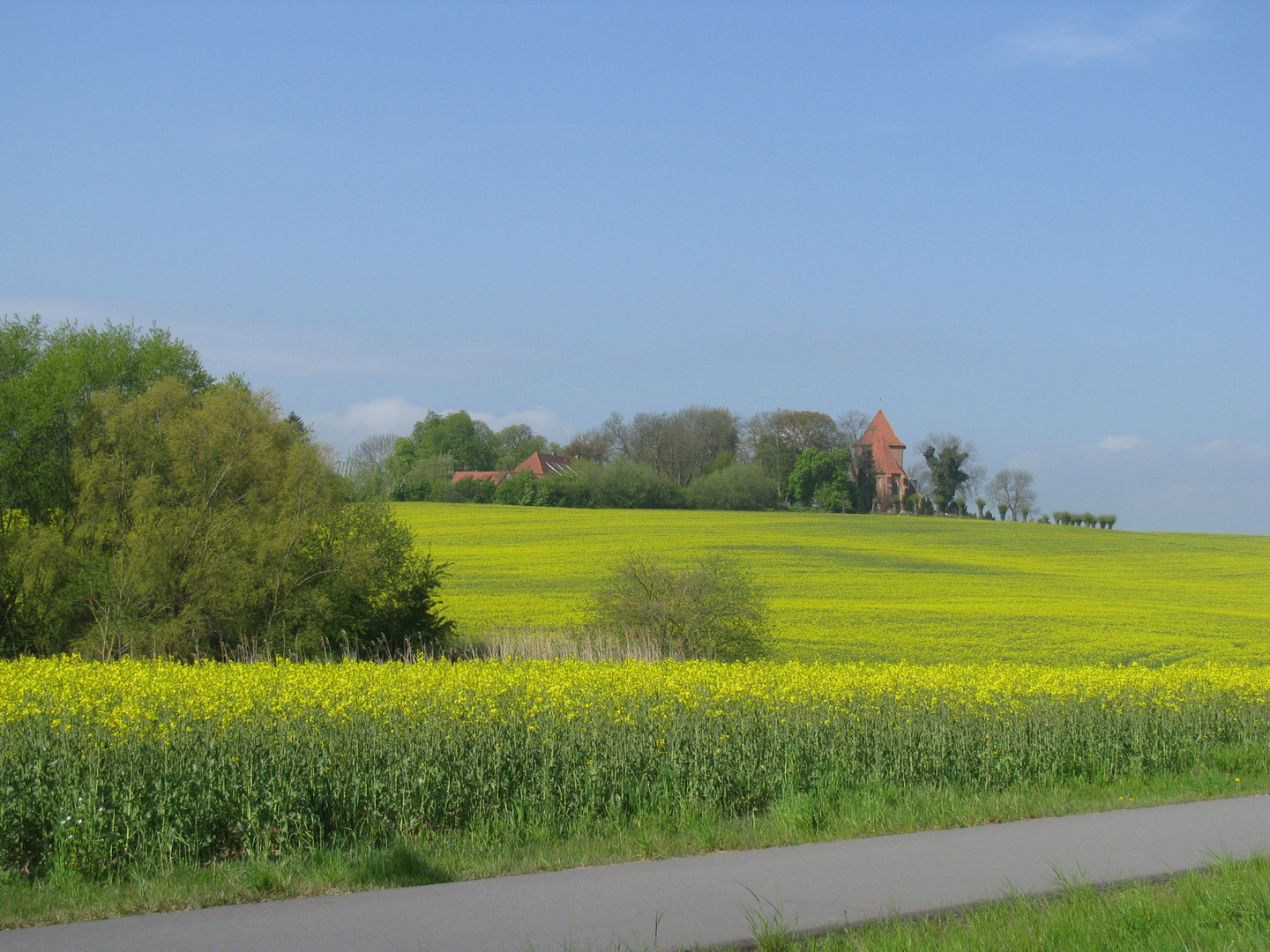 rapsgelbe Landschaft