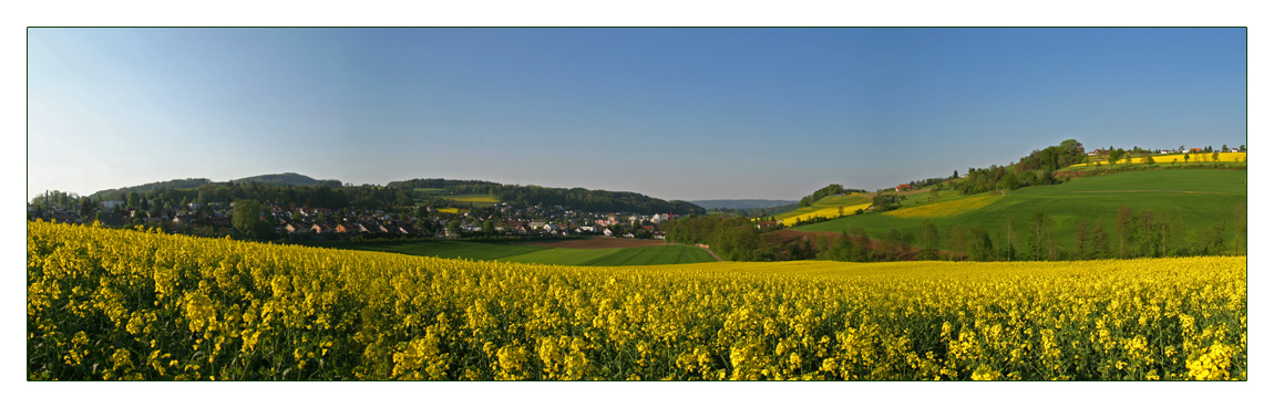 Rapsig von Michael Schmid.