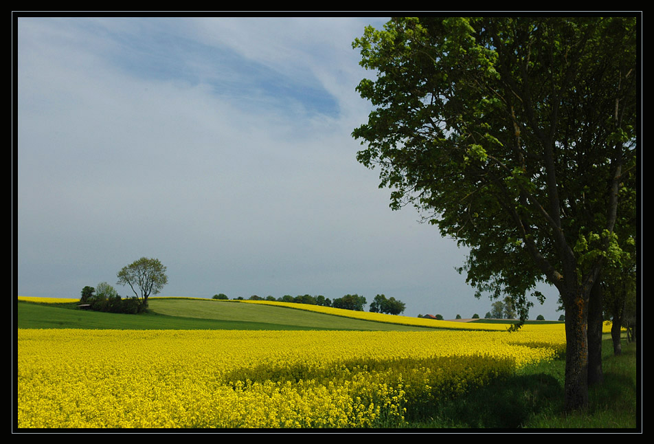 rapslandschaft