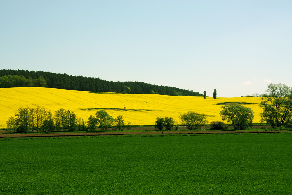 Rapslandschaft