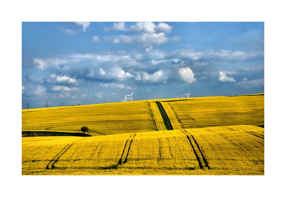 Rapslandschaft