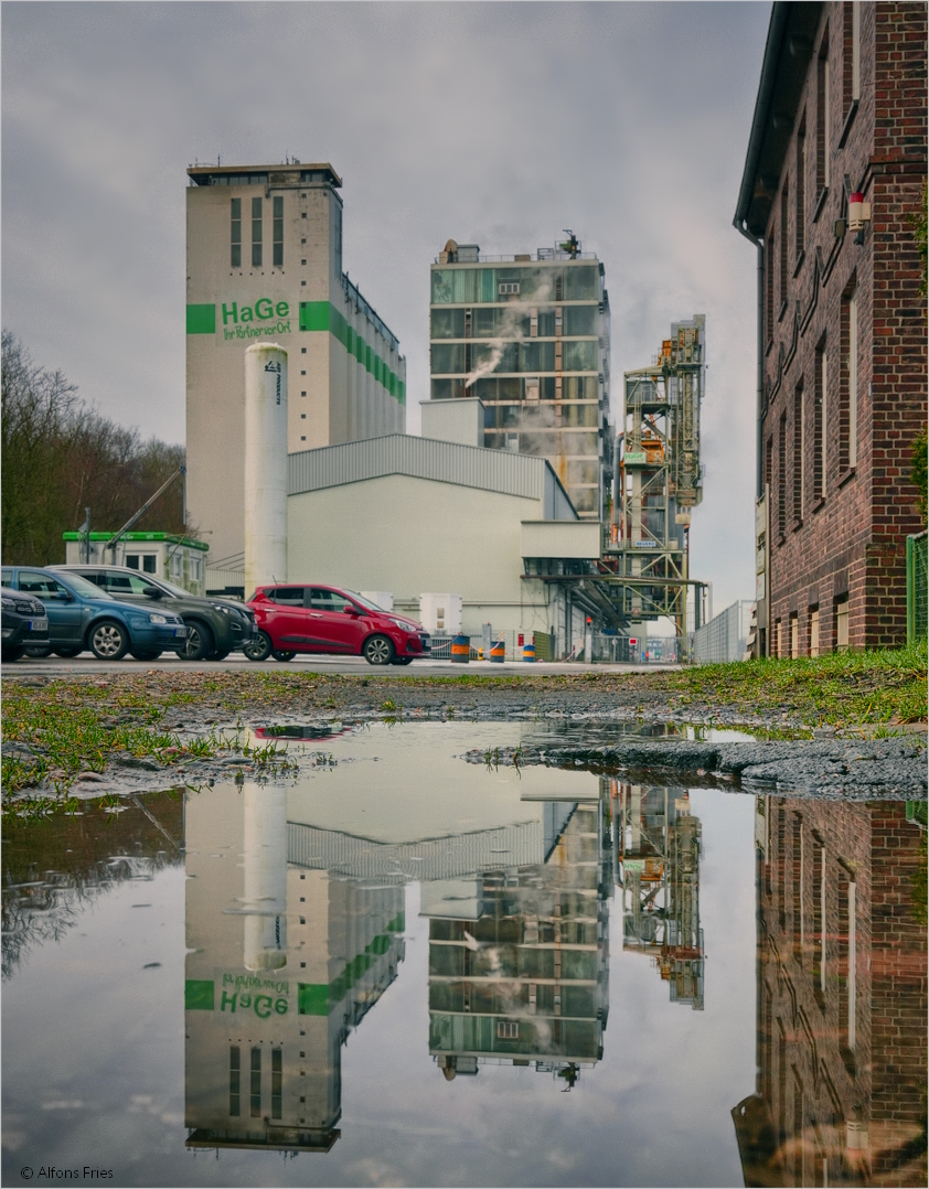 Rapsmühle am Nord-Ostsee-Kanal