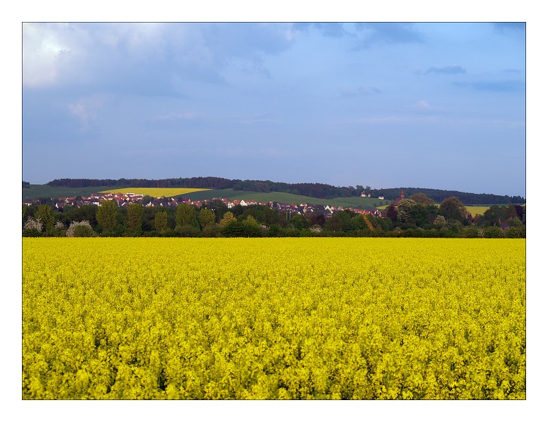 Rapsodie von  Gerd - Axel Griese