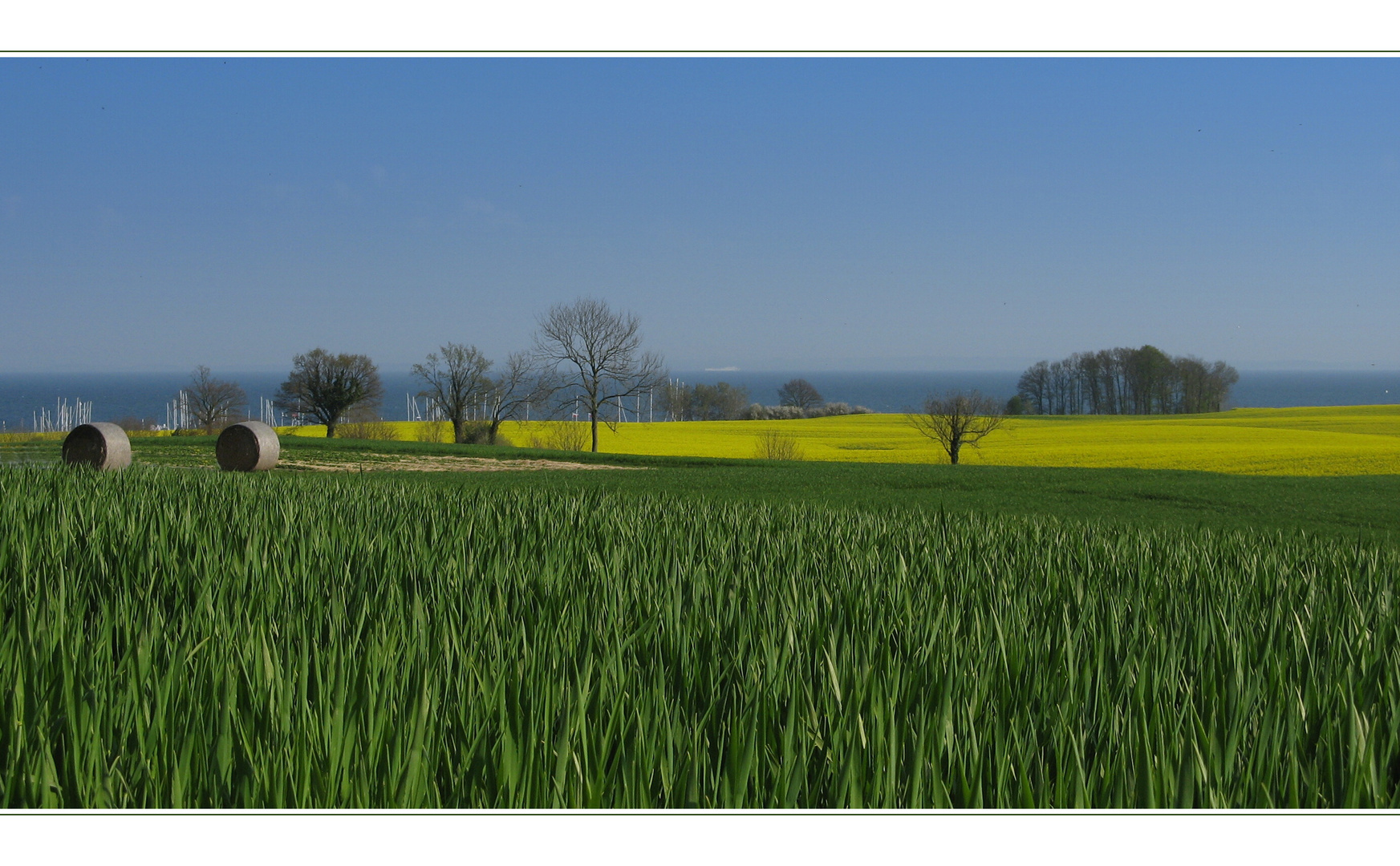 "Rapsodie" an der Küste