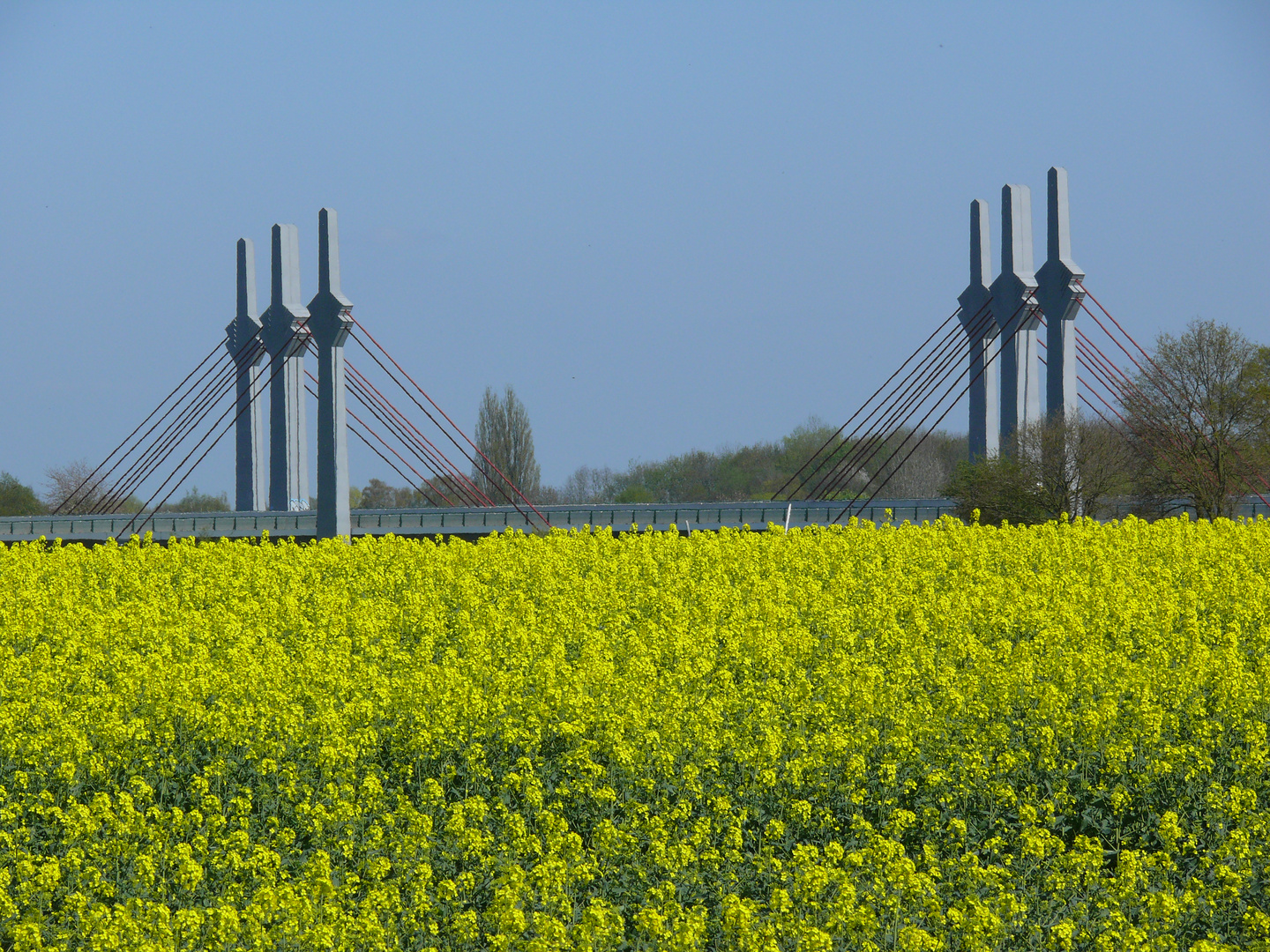 Rapsodie in Löhne