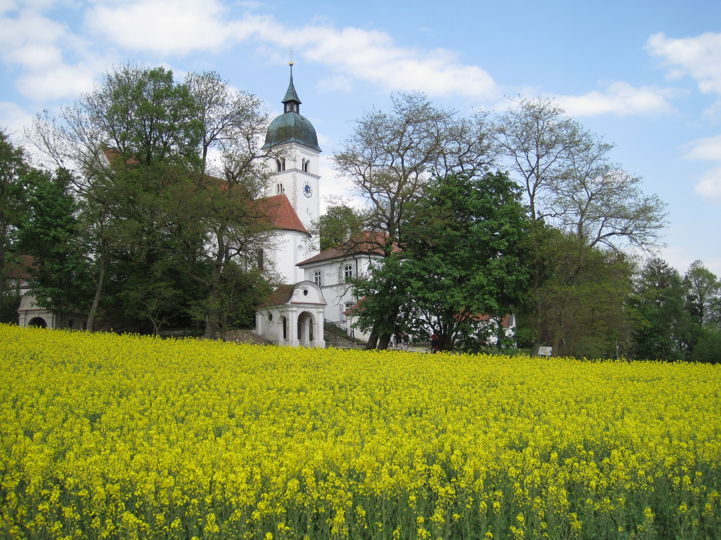 Rapsodie oder Senfonie