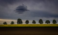 Rapsodie unter Wolken